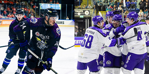 eihl playoff finals goal pucks