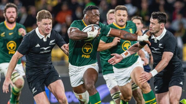 springboks vs all blacks