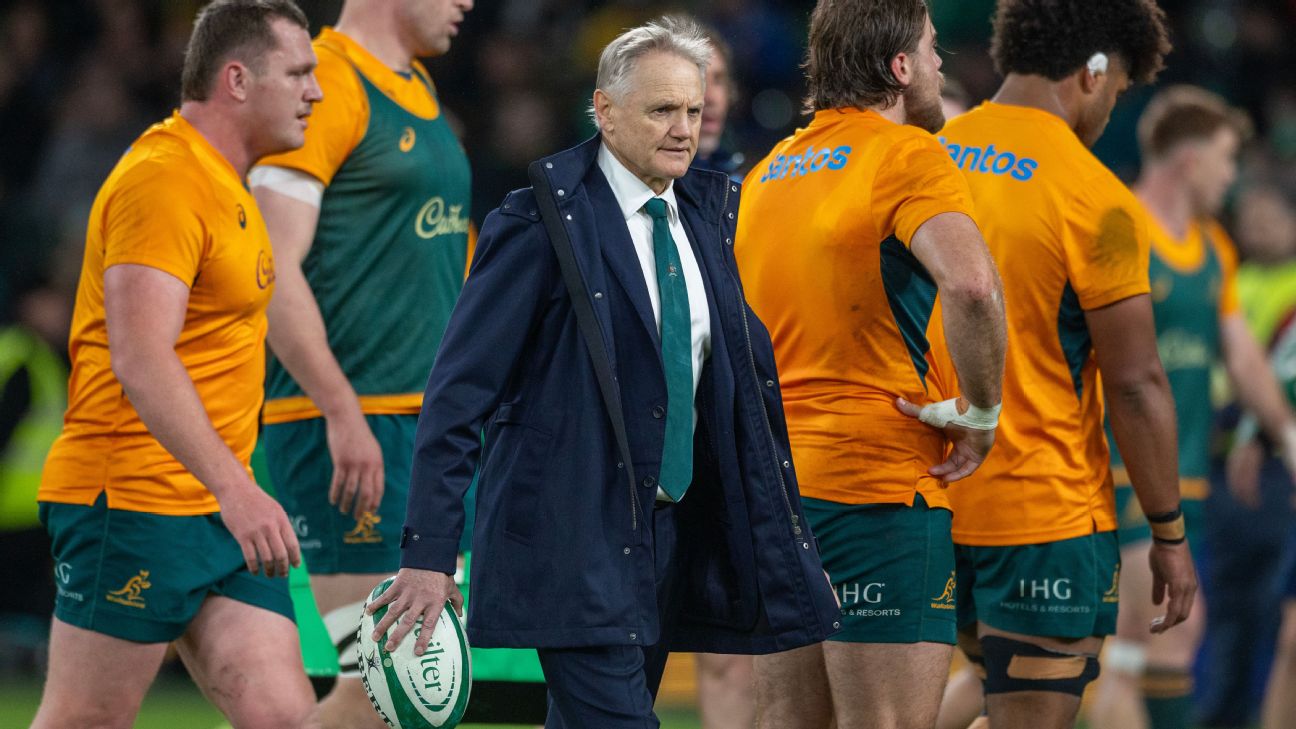 joe schmidt wallabies