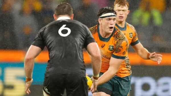 rwc 2027 wallabies